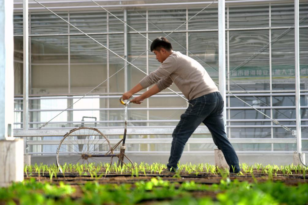 凝聚起推进中国式现代化的磅礴力量——从全国两会看全过程人民民主新实践